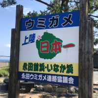屋久島〜いなか浜