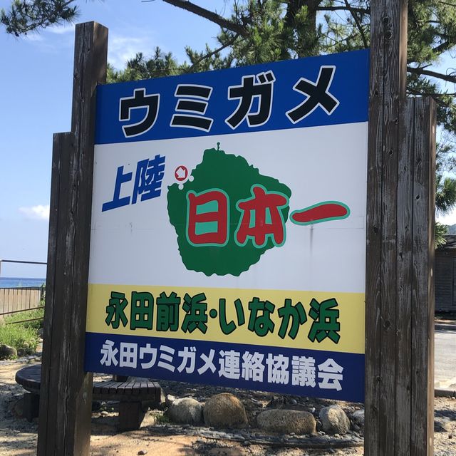 屋久島〜いなか浜