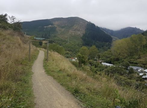 Codgers Trails