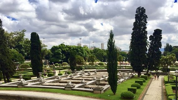 Parque Estadual da Cantareira