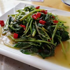 风味盗汗鸡 User Photo