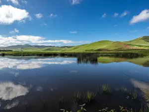 Saihanba National Forest Park