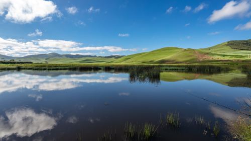 Saihanba National Forest Park