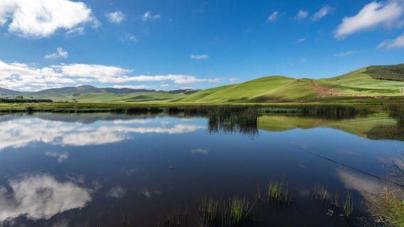 Saihanba National Forest Park