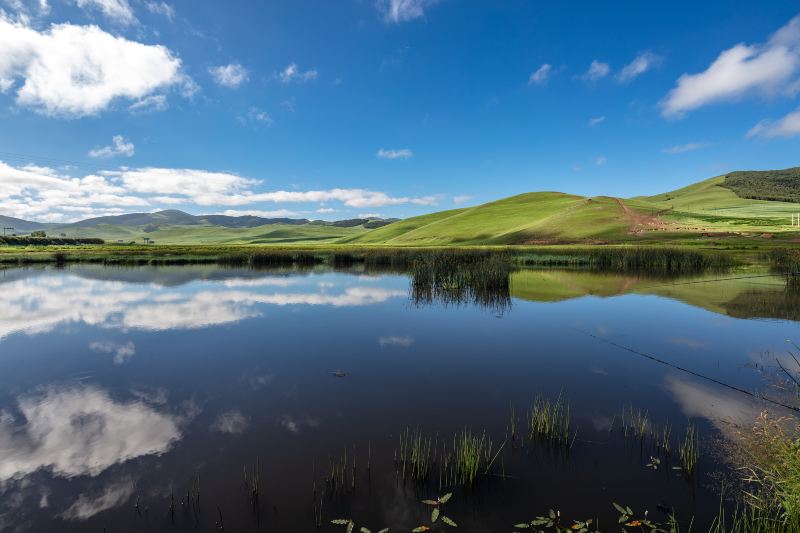 Saihanba National Forest Park