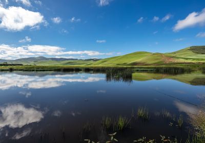 Saihanba National Forest Park