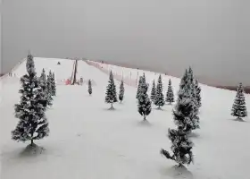 紅海·七星雪滑雪場