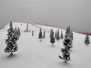 紅海·七星雪滑雪場