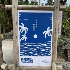 SEA STORY User Photo