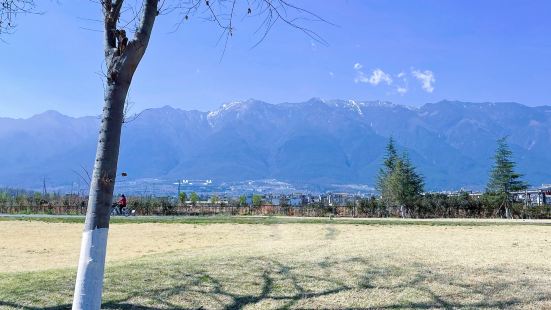 🌸我們原本的目標是龍龕碼頭觀景台，觀景台位於龍龕生態園內，