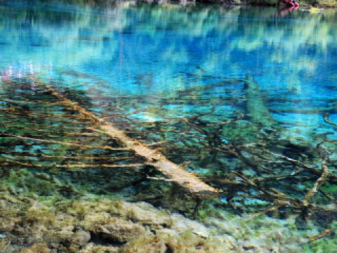 深圳小梅沙海洋世界附近酒店