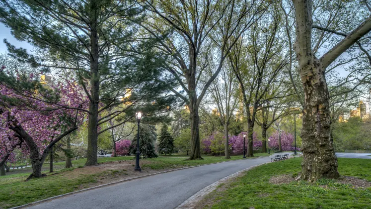 Отзывы об отеле Crowne Plaza - ANA RESORT APPI KOGEN