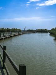 Yellow River Estuaries