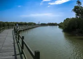 Yellow River Estuaries