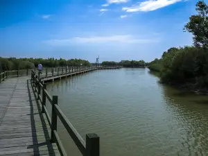 Yellow River Estuaries