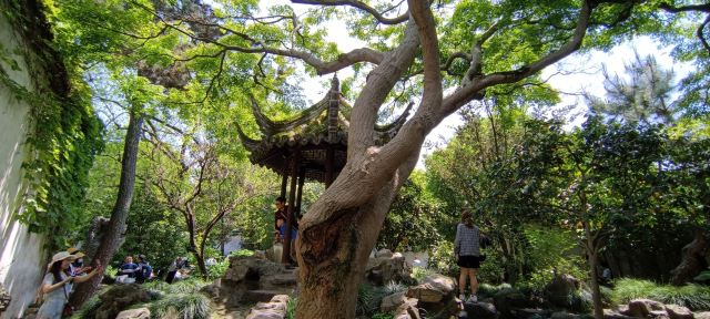 Lingering Garden