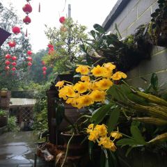 梅山庄园 User Photo