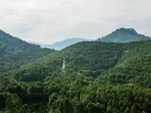 HOGA, Gaharu Tea Valley Gopeng