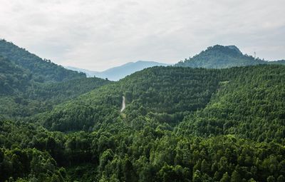 HOGA, Gaharu Tea Valley Gopeng