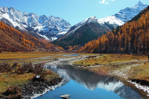 Blossom House Bazhong Enyang