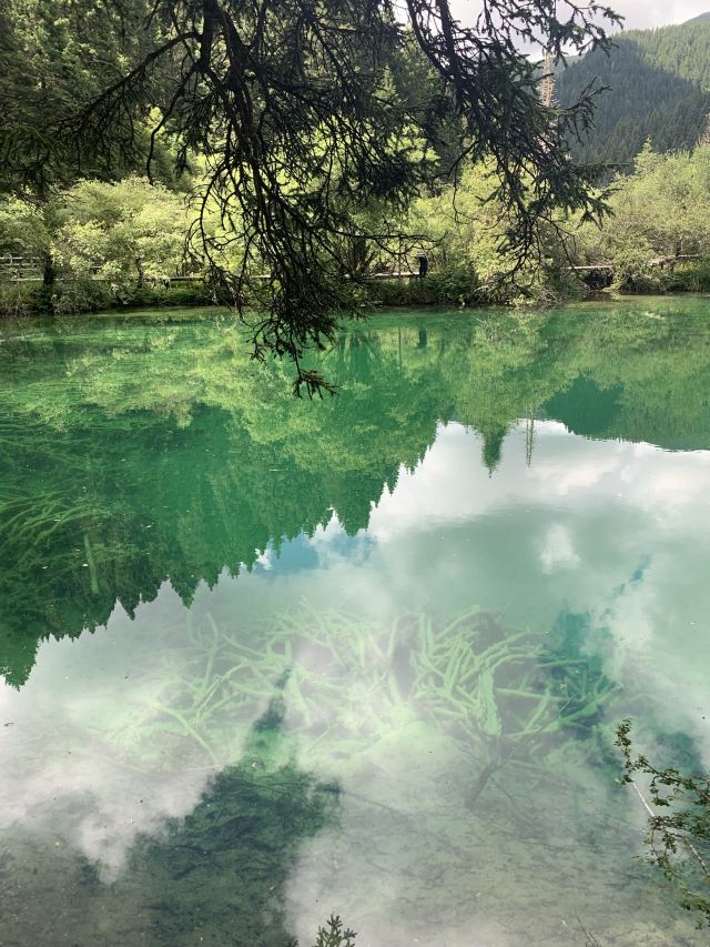 Mounigou Scenic Area
