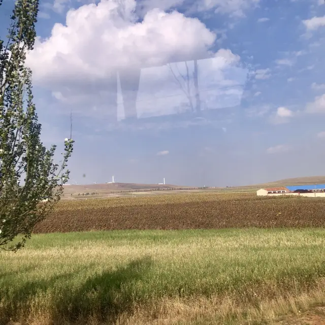 내몽골에서 초원을 걷다.