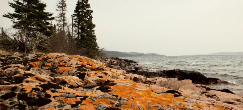 Hoteles en Thunder Bay