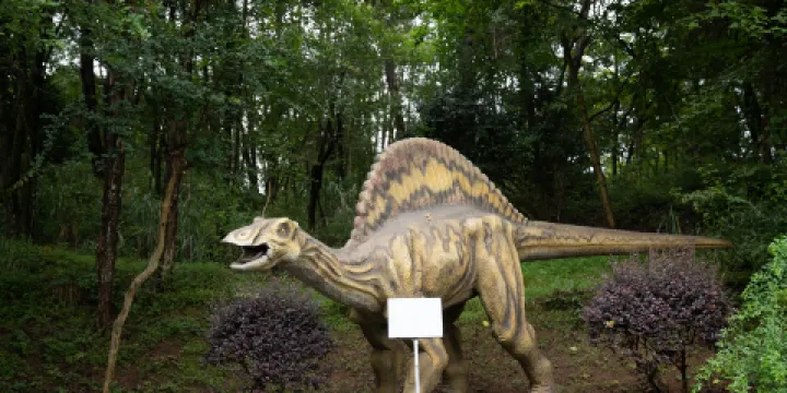 黃山野生動物園