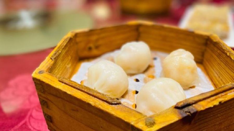 EAST GHINA SEA FISHING