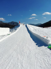 通化上龍頭雪村