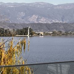 櫻花屋音樂餐吧張用戶圖片