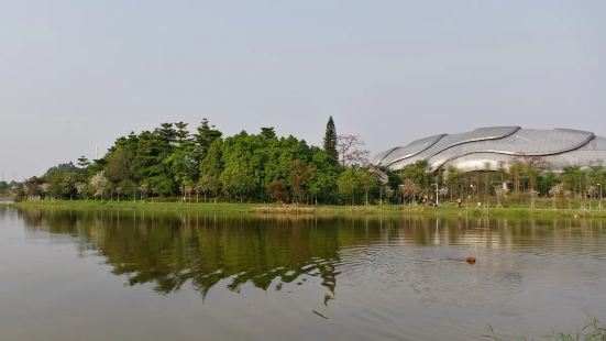 中心湖公园位于小谷围岛中央部位，湖周边植被浓密，湖面风景优美