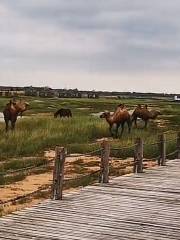 Fuyuxian Wuyu'erhe Wetland Park