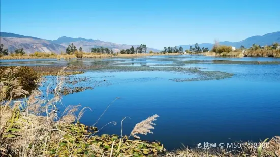 鶴慶草海濕地公園