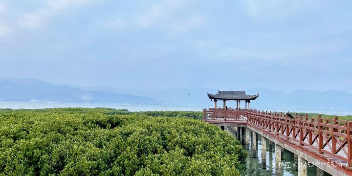 Mangrove Coastal Park, Beishan Mountain
