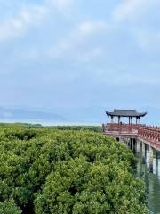 Mangrove Coastal Park, Beishan Mountain