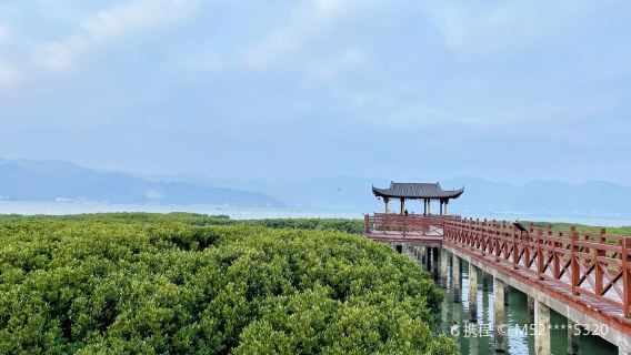 Mangrove Coastal Park, Beishan Mountain