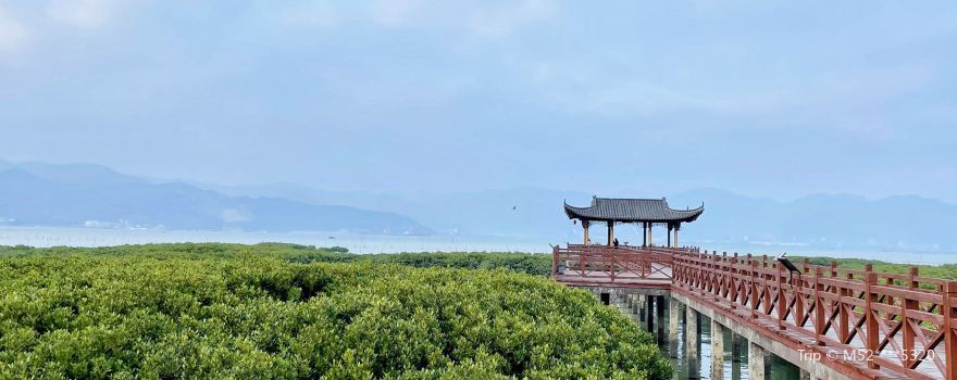 Mangrove Coastal Park, Beishan Mountain