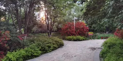 紅燈記文化廣場