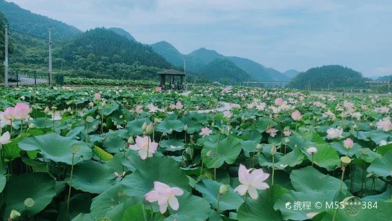 Shimen Village