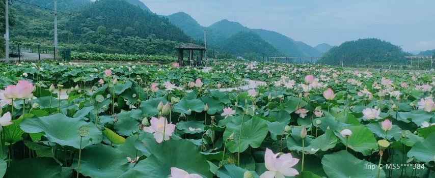 Shimen Village