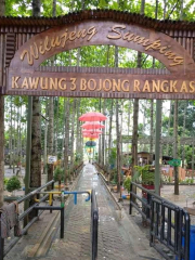 Kawung Tilu Bojong Rangkas