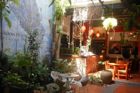 The Baboon House