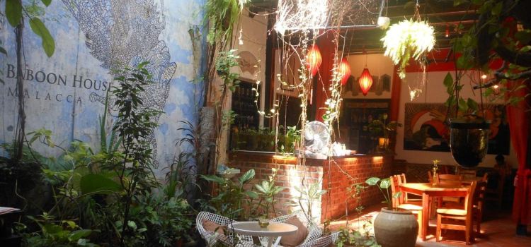 The Baboon House
