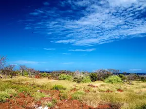 Baltra Island
