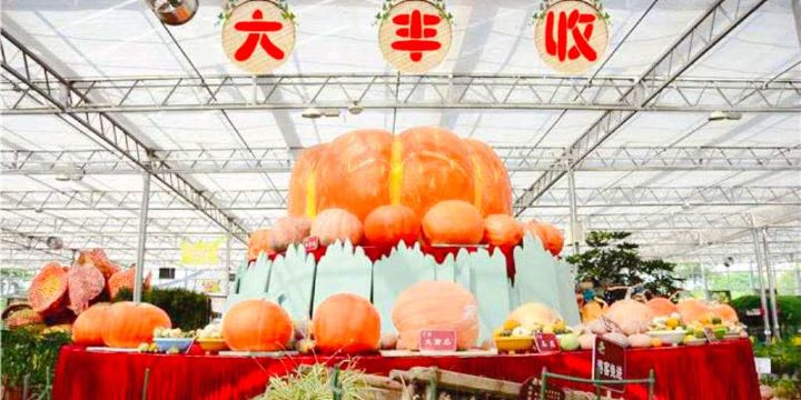 Wucai Tuanyuan Farmers Festival