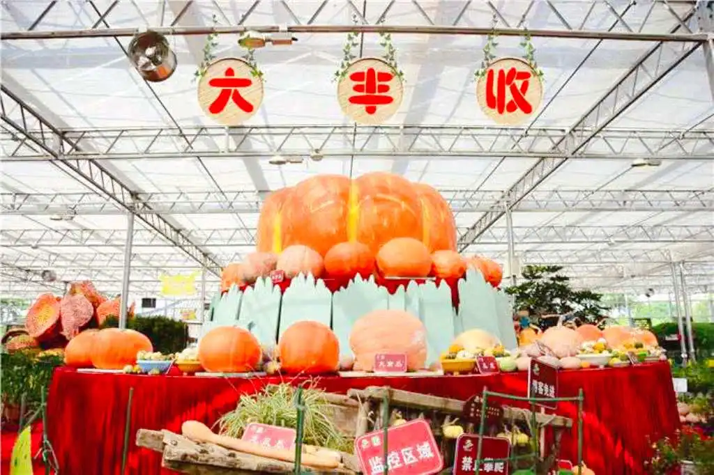五彩田園農業嘉年華附近的飯店