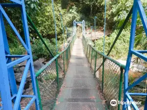 Brahmagiri Wildlife Sanctuary