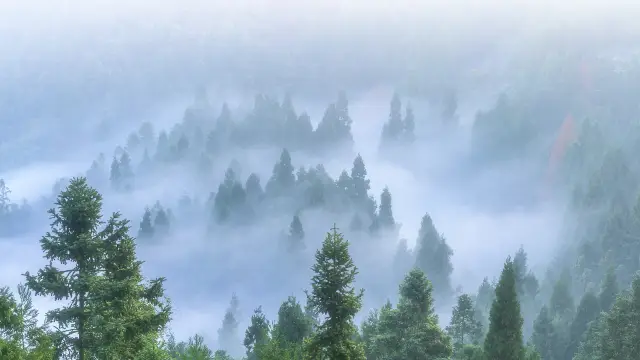 Sea of Clouds in Xiangyang