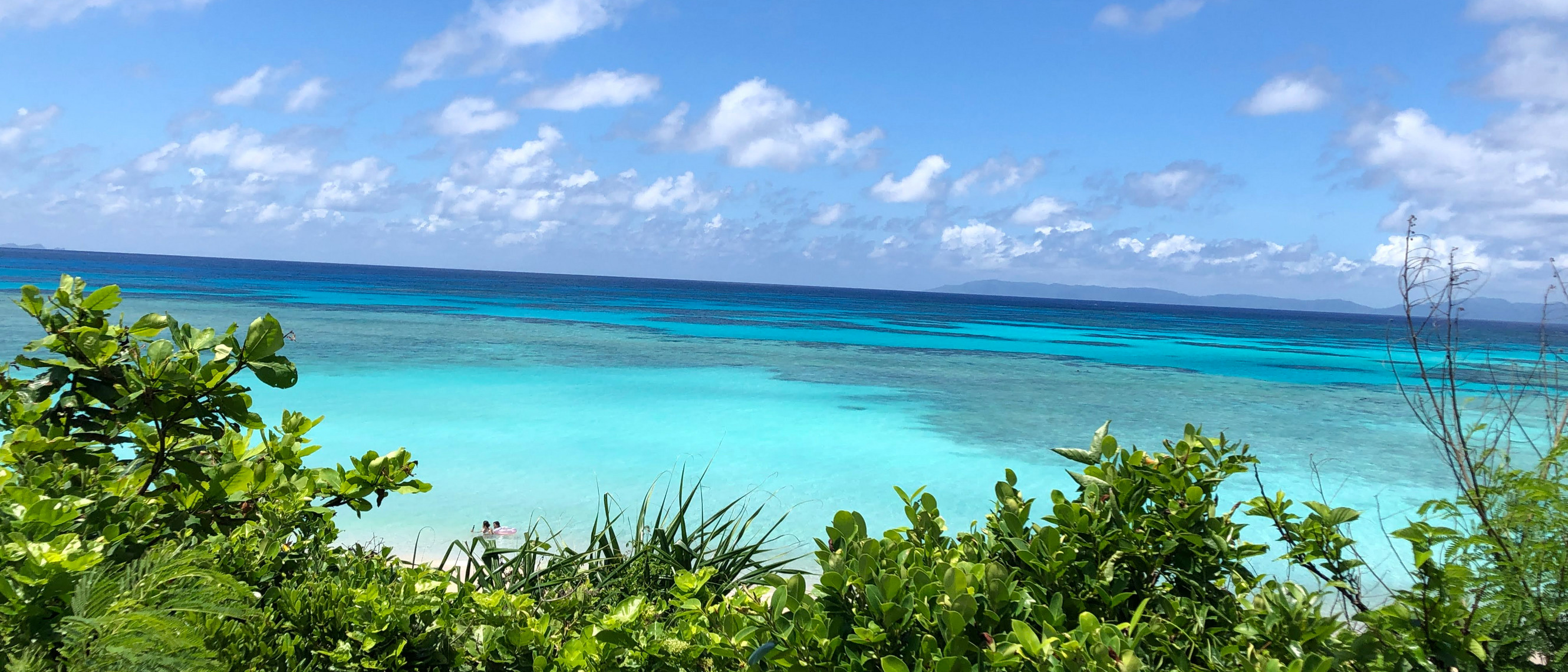 日本新見市 · 夏川里美 演唱會 | 新見文化交流館（まなび広場にいみ）